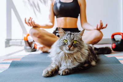 When it comes to pet supplements, mental and emotional well-being considerations are emerging as a formulation priority.