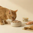 California Cat Kitchen launched two recipes — Beef & Pollock and Chicken & Salmon — both using wild-caught fish and available in smooth and ground textures.