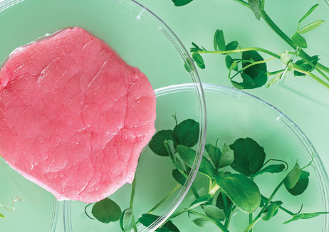 Cell-based meat is a complicated idea, leading to regulatory hold-ups and a patchwork of responses from state and country legislators.