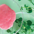 Cell-based meat is a complicated idea, leading to regulatory hold-ups and a patchwork of responses from state and country legislators.