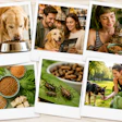 Collage Of Polaroid Photos Alternative Proteins Insect Vegan