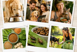 Collage Of Polaroid Photos Alternative Proteins Insect Vegan