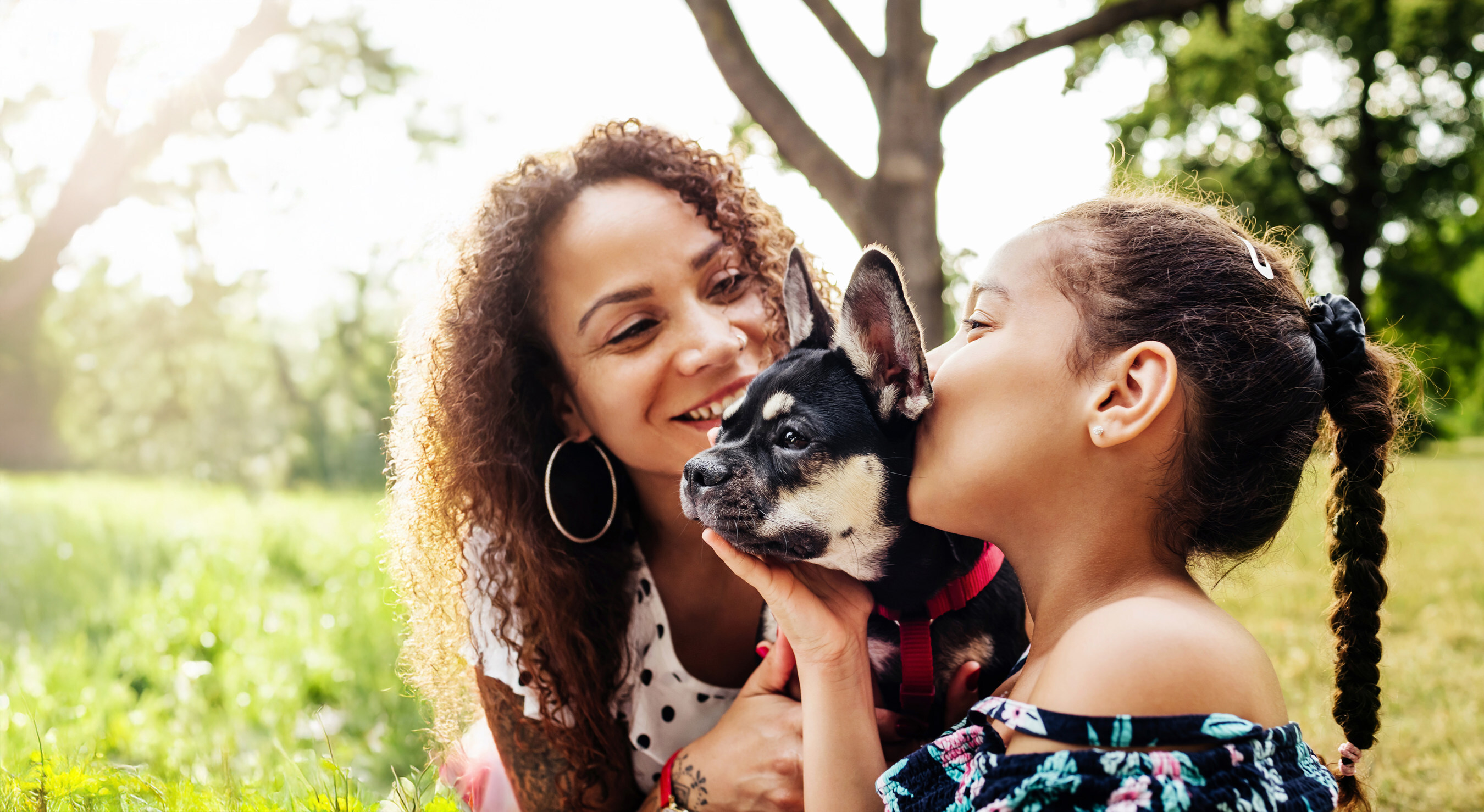 As Dog Chow marks its 100th anniversary in 2026, the brand is launching the &ldquo;Giving You 100&rdquo; contest to celebrate the dogs who have become the heart of their families for the last 100 years.