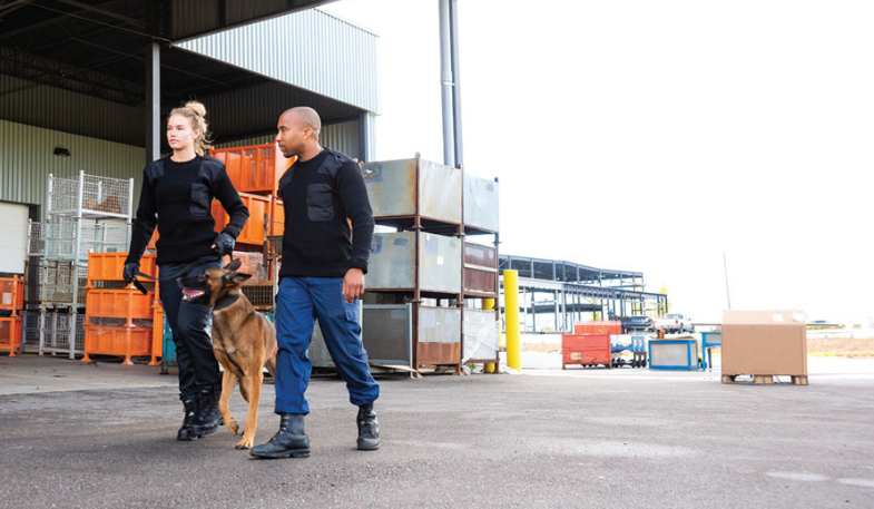 Pet food products are being used during shipping as vehicles for drug smuggling, as several cases at Asian ports in the last year have shown.