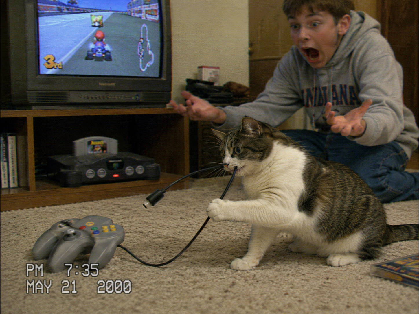 Home Video Image Of A Cat Playing With The Dangling Cord Of A Video Game Controller