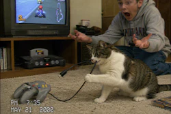Home Video Image Of A Cat Playing With The Dangling Cord Of A Video Game Controller