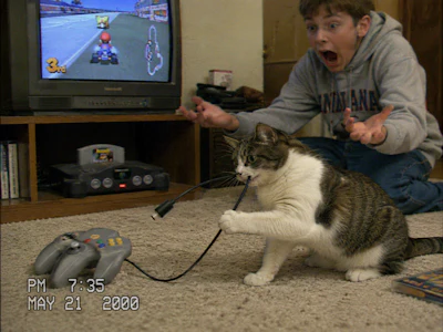 Home Video Image Of A Cat Playing With The Dangling Cord Of A Video Game Controller