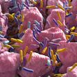 According to the Purina Institute, emerging science highlights the essential role of gut-brain axis and antimicrobial stewardship in microbiome health.