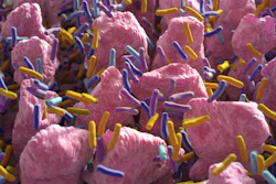 According to the Purina Institute, emerging science highlights the essential role of gut-brain axis and antimicrobial stewardship in microbiome health.