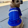 A 7-year-old mixed-breed dog available who was available for adoption through KC Pet Project, models the limited-edition Purina x KC2026 Pet Kit during a press conference celebrating Dog Days at FIFA Fan Festival in Kansas City, Missouri.