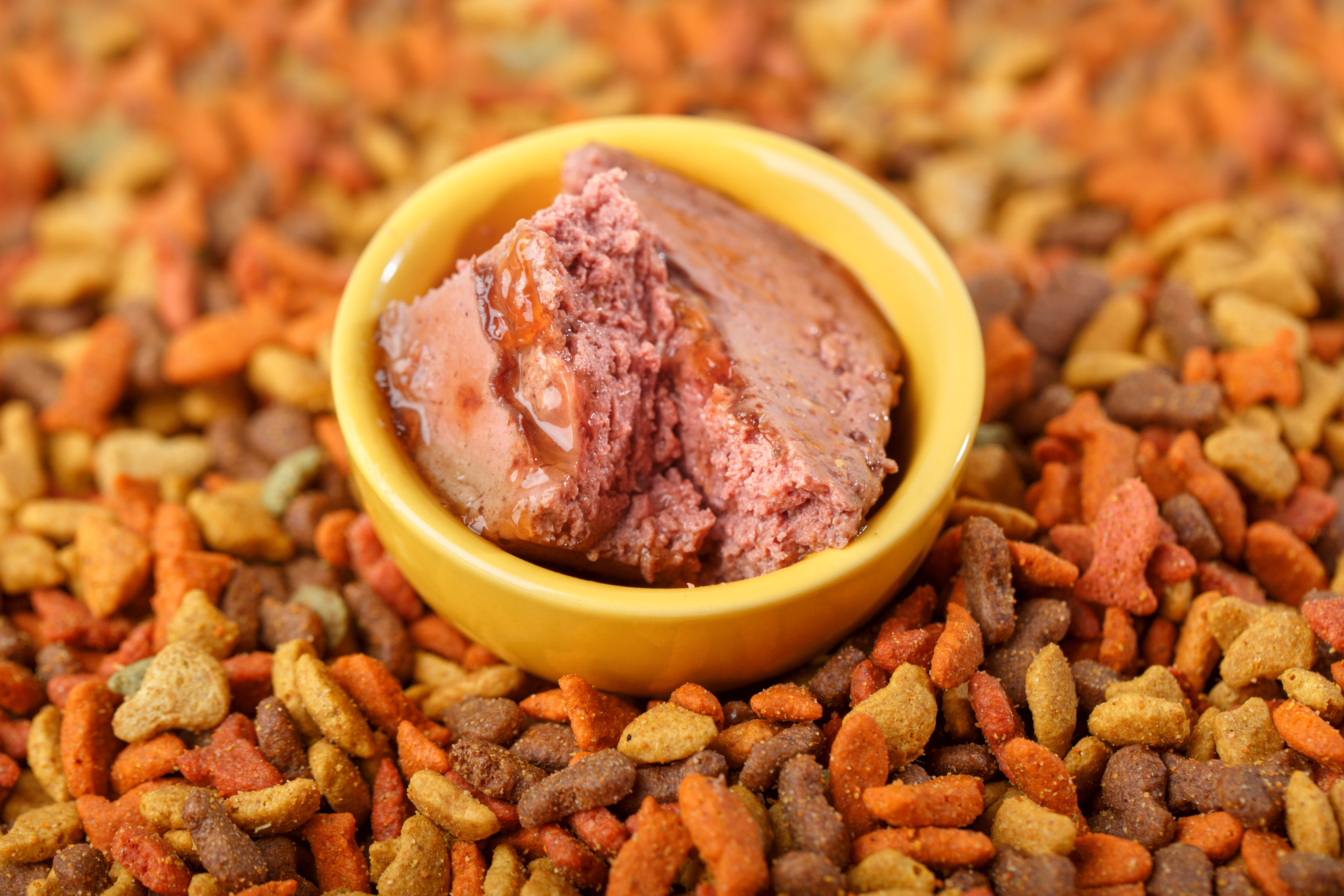 Raw Canned Pet Food