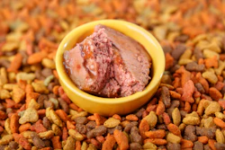Raw Canned Pet Food