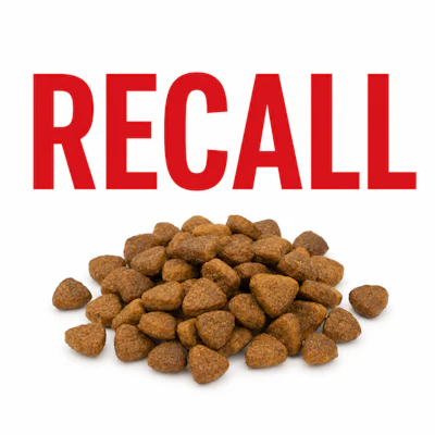 Recall With Kibble Chat Gpt Image May 8, 2026