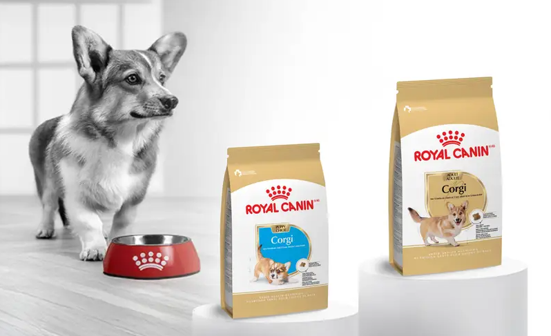 Royal Canin Corgi Breed Diet