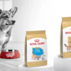 Royal Canin Corgi Breed Diet