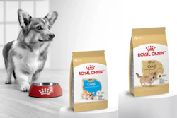Royal Canin Corgi Breed Diet