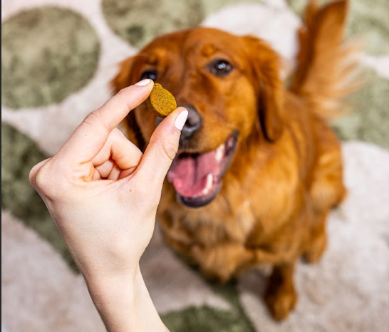 The Honest Difference Dog Supplement
