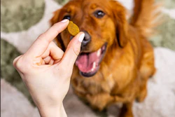 The Honest Difference Dog Supplement