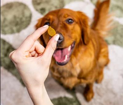 The Honest Difference Dog Supplement