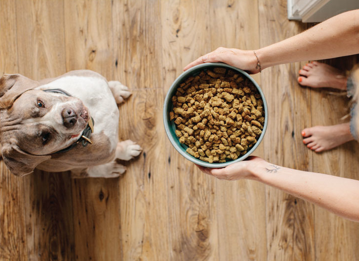 Since the brand began in 2002 with Postins trying to find wellness solutions via nutrition for her Rhodesian Ridgeback, it&rsquo;s no surprise that the products are a hit with the company&rsquo;s furry customers.