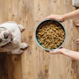 Since the brand began in 2002 with Postins trying to find wellness solutions via nutrition for her Rhodesian Ridgeback, it’s no surprise that the products are a hit with the company’s furry customers.