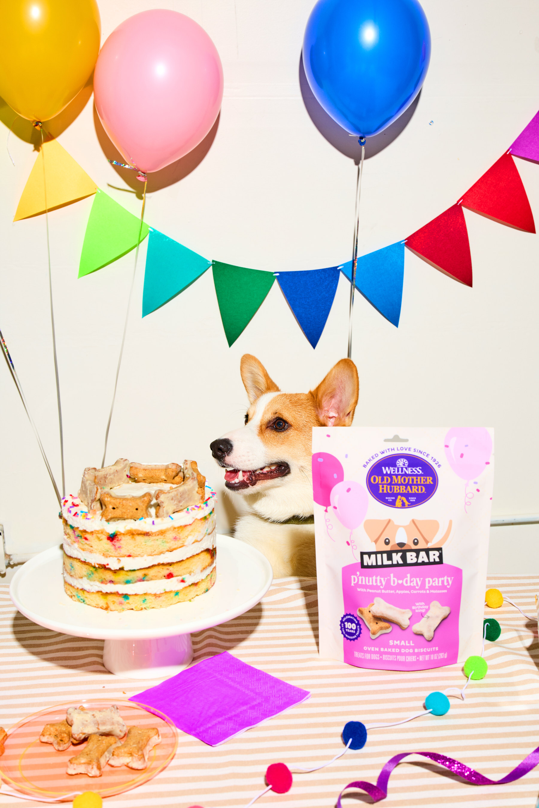 Wellness Pet Company Photo