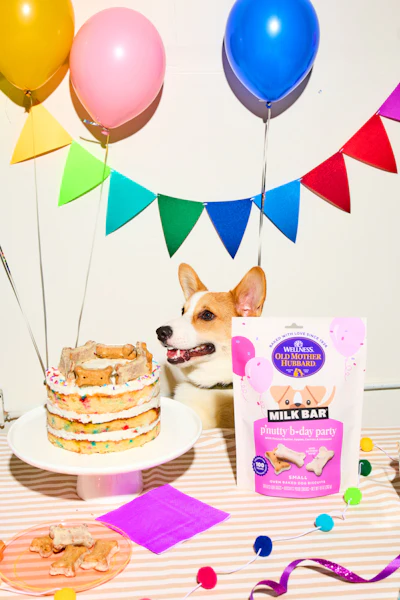 Wellness Pet Company Photo
