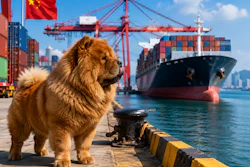 A Chow Chow Standing In A Port In China