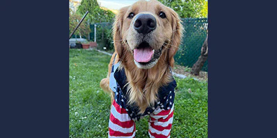 Beggin’ XI’s Top Dog, Hudson, from Guttenberg, New Jersey.