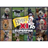 Beggin Xi Roster Of Dog Finalists