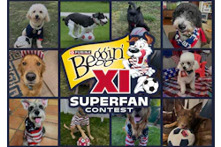Beggin Xi Roster Of Dog Finalists