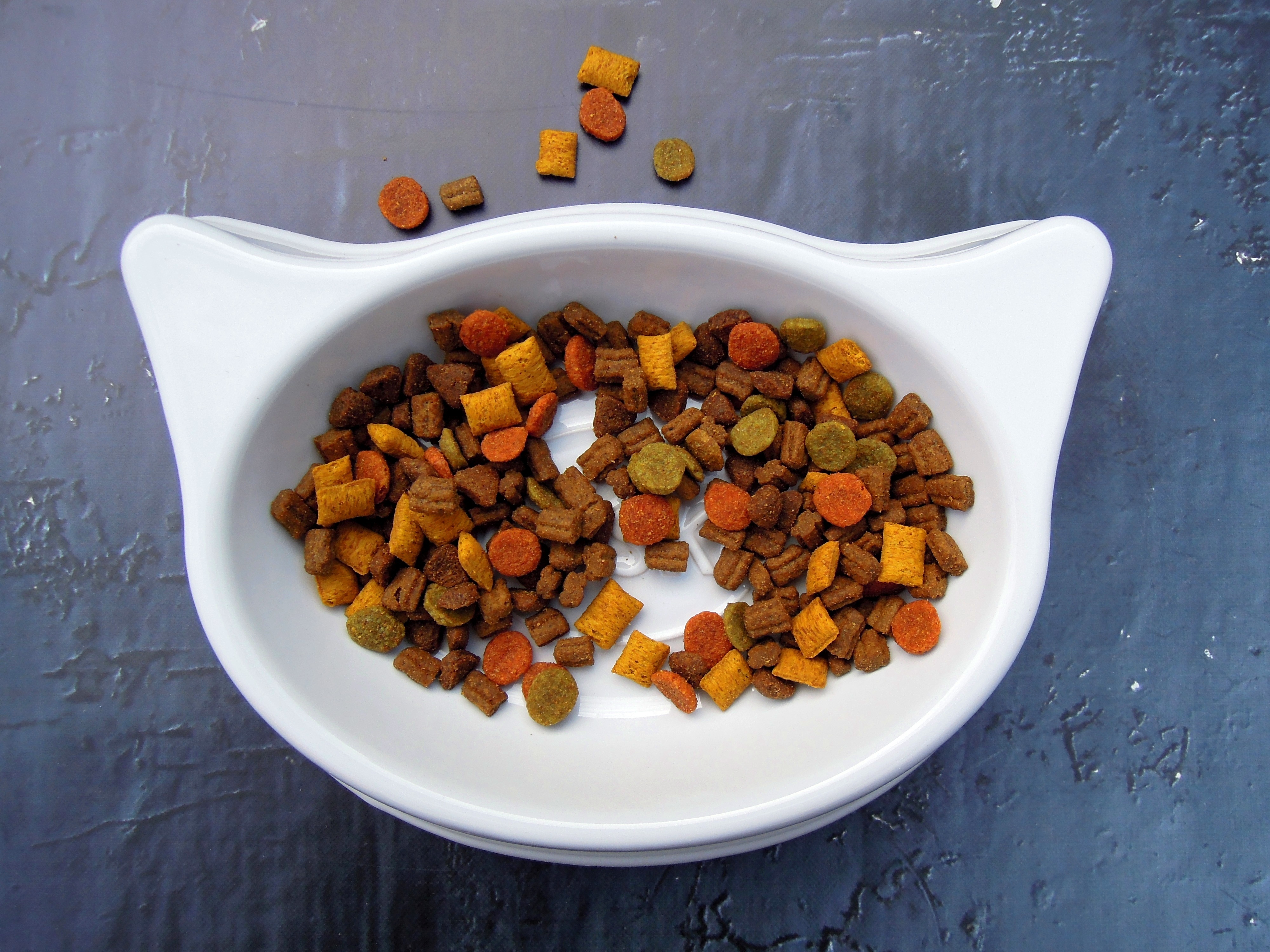 Cat Food In Cat Shaped Dish Crepessuzette Pixabay