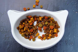 Cat Food In Cat Shaped Dish Crepessuzette Pixabay