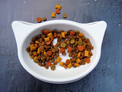 Cat Food In Cat Shaped Dish Crepessuzette Pixabay