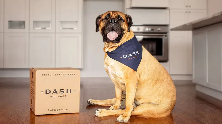 Dash Dog Food Jun26