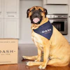 Dash Dog Food Jun26