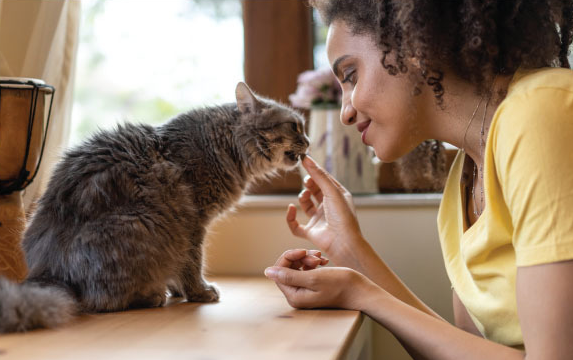 Debbie Column Pet Supplements