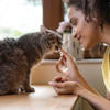 Debbie Column Pet Supplements