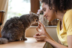 Debbie Column Pet Supplements