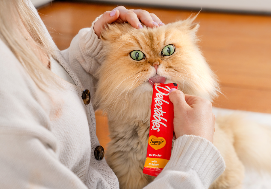 According to Euromonitor International, the wet cat treat segment now accounts for approximately 45% of overall cat treat sales.