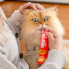 According to Euromonitor International, the wet cat treat segment now accounts for approximately 45% of overall cat treat sales.