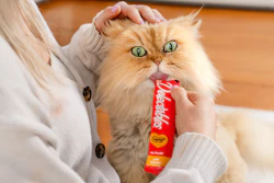 According to Euromonitor International, the wet cat treat segment now accounts for approximately 45% of overall cat treat sales.