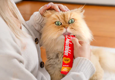 According to Euromonitor International, the wet cat treat segment now accounts for approximately 45% of overall cat treat sales.