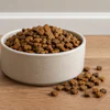 Dry Kibble In White Bowl Chat Gpt