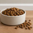 Dry Kibble In White Bowl Chat Gpt