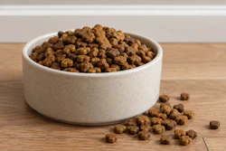 Dry Kibble In White Bowl Chat Gpt