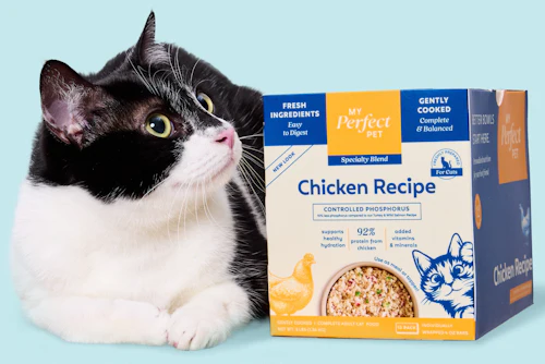 My Perfect Pet Lifestyle