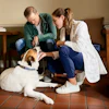 The Farmers Dog Vet Image