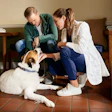 The Farmers Dog Vet Image