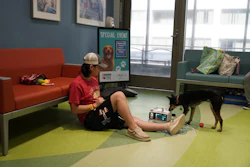 St. Louis Children's Hospital patient William Petla with his dog Bristol in Purina Family Pet Center.